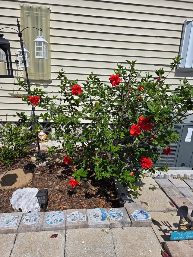 Stat Pest Control — customer photo 12
