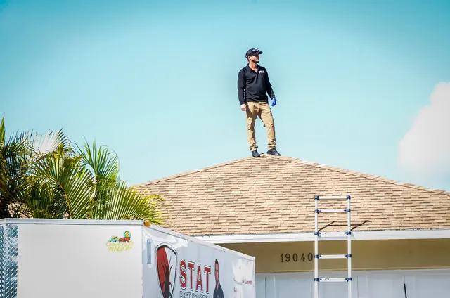 Stat Pest Control — photo from the business 4