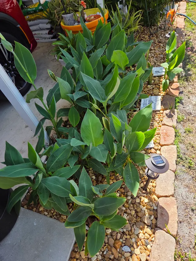 Customer photo of work by Stat Pest Control, from April Schwartz's review