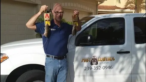 Pest Control of Naples — photo from the business 1