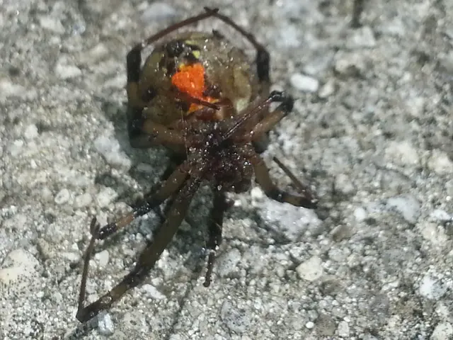 Pest Control of Naples — photo from the business 11