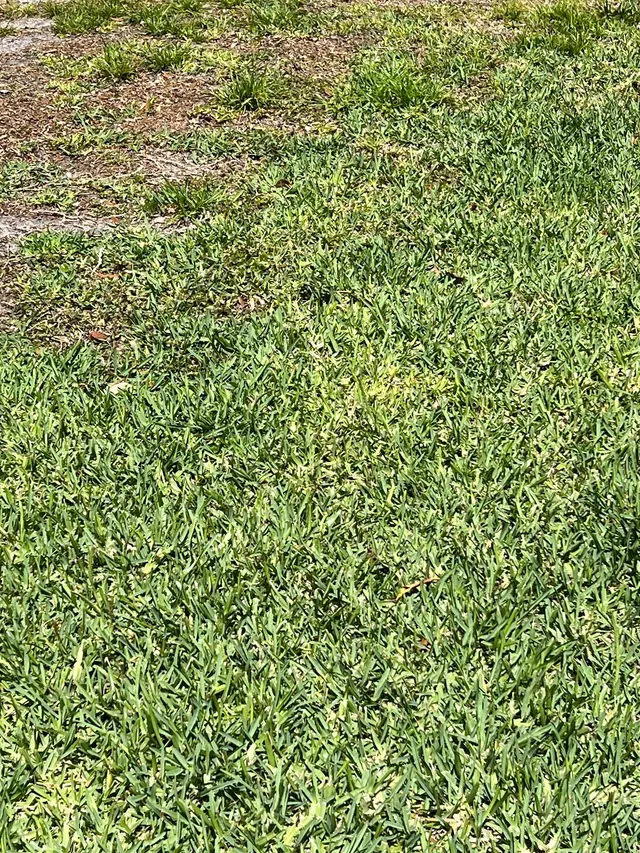 Sun Pest Control — customer photo 11