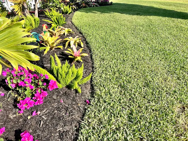 Sun Pest Control — customer photo 2