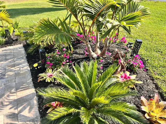 Sun Pest Control — customer photo 1
