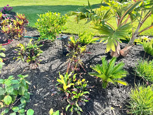 Sun Pest Control — customer photo 5