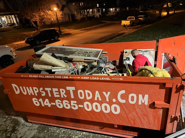 Dumpster Today — customer photo 2