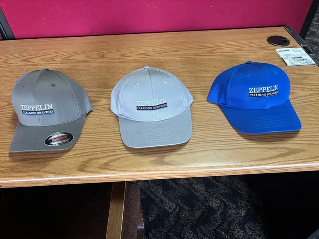 Zeppelin Cleaning Services — photo from the business 12