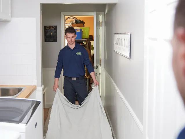 Amistee Air Duct Cleaning and Insulation — photo from the business 11