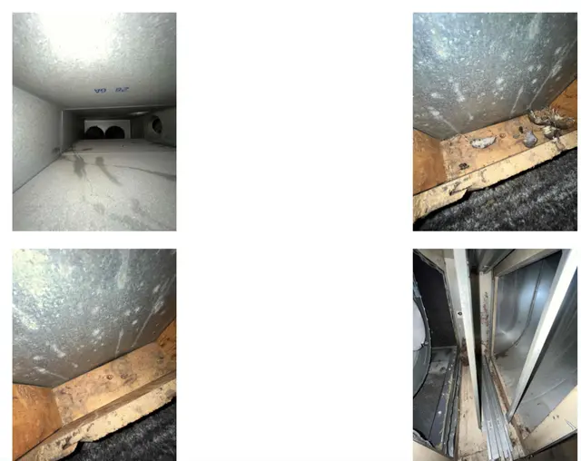 Customer photo from Bendoescamera's review
