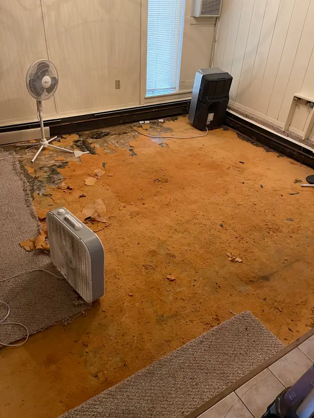 Healthy Homes, Inc. & Asbestos Removal Technologies, Inc. — customer photo 7