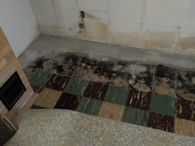 Healthy Homes, Inc. & Asbestos Removal Technologies, Inc. — photo from the business 12