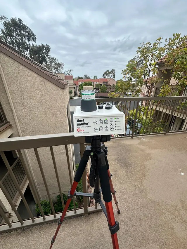 24H Mold Inspection of Michigan — photo from the business 4