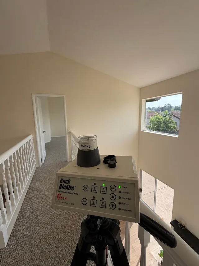 24H Mold Inspection of Michigan — photo from the business 3