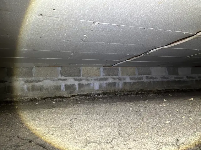 Restoration and Environmental Safety Technologies (REST Environmental) — customer photo 12