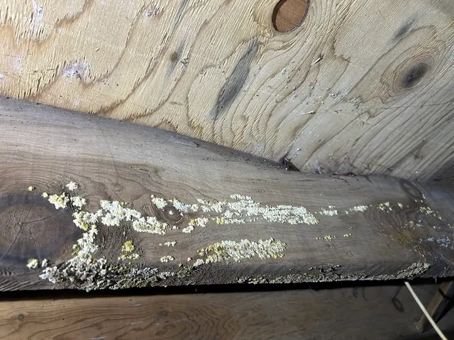 Restoration and Environmental Safety Technologies (REST Environmental) — customer photo 8