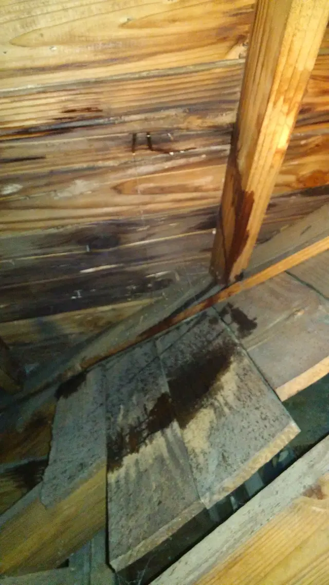 Restoration and Environmental Safety Technologies (REST Environmental) — photo from the business 11
