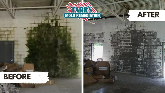 Farr's Mold Remediation, Inc. — photo from the business 1