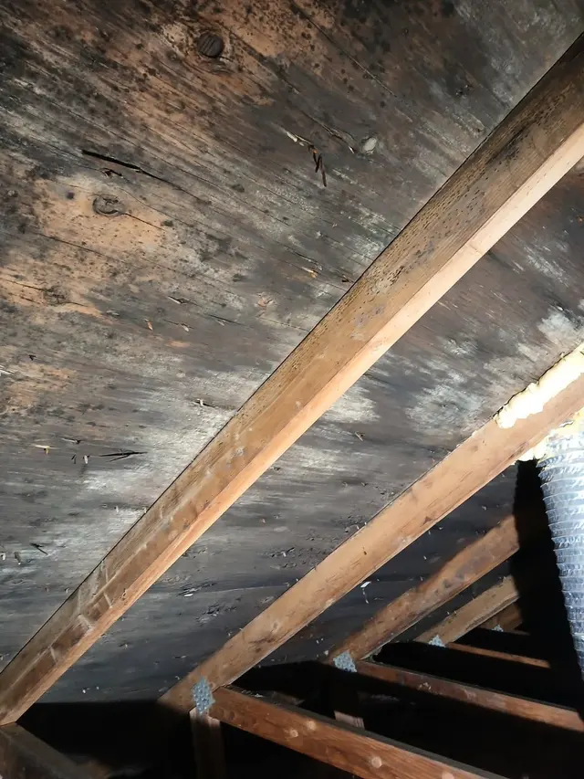 Farr's Mold Remediation, Inc. — photo from the business 2