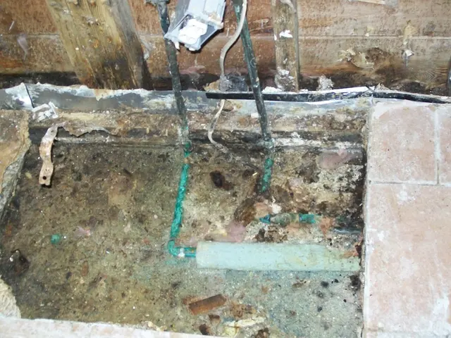 Farr's Mold Remediation, Inc. — photo from the business 7
