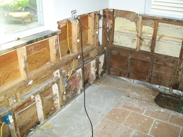 Farr's Mold Remediation, Inc. — photo from the business 6