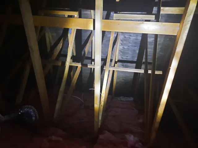 Farr's Mold Remediation, Inc. — photo from the business 11