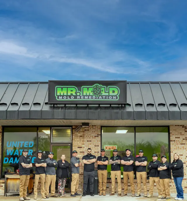 Mr. Mold of Troy — photo from the business 7