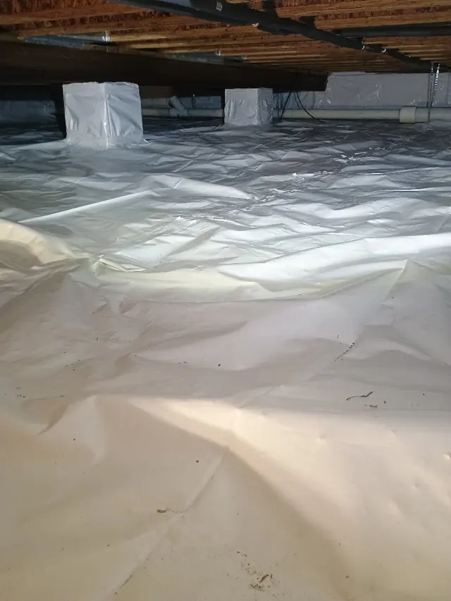 Mr. Mold of Troy — photo from the business 1