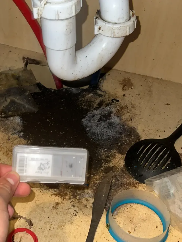 Dearborn Mold & Asbestos Inspection, Remediation & Abatement — photo from the business 3