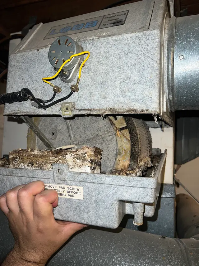 Dearborn Mold & Asbestos Inspection, Remediation & Abatement — photo from the business 9