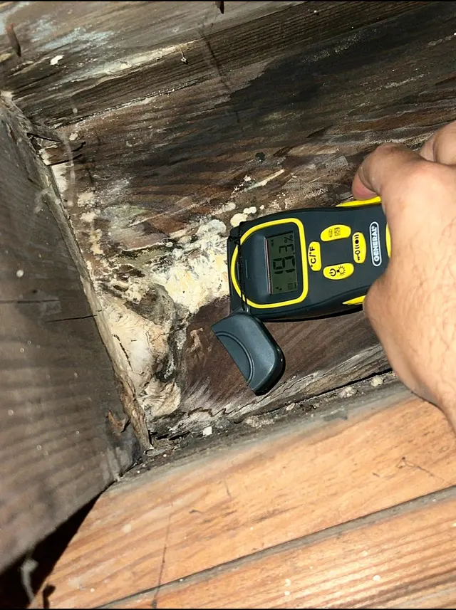 Dearborn Mold & Asbestos Inspection, Remediation & Abatement — photo from the business 4