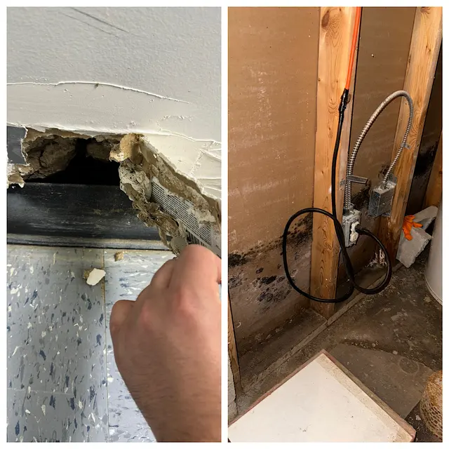 Dearborn Mold & Asbestos Inspection, Remediation & Abatement — photo from the business 1