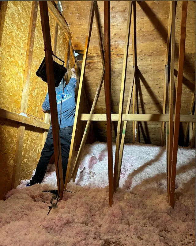 Mold Experts Of Michigan — photo from the business 2