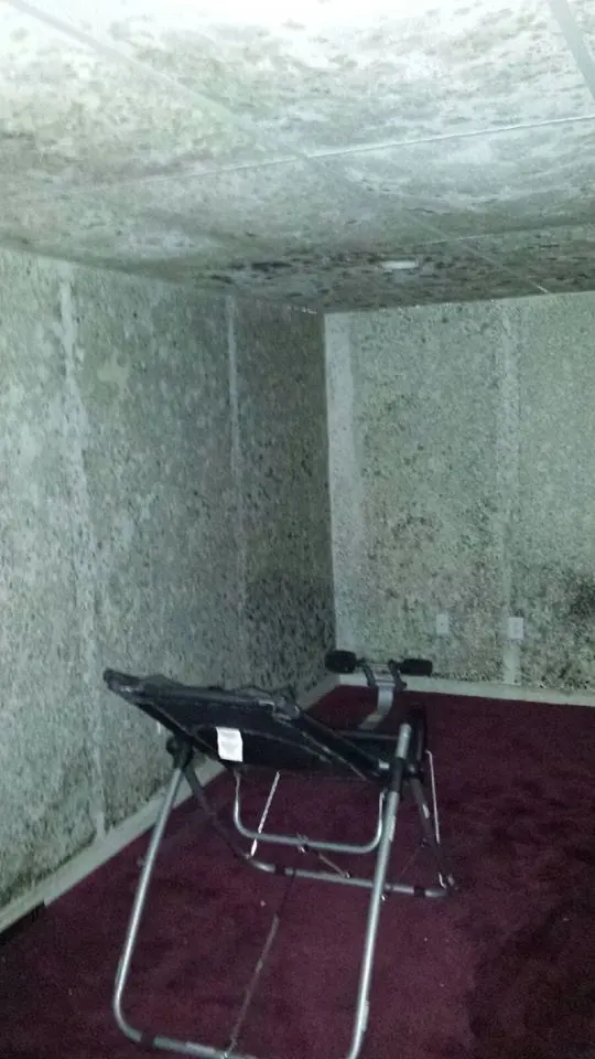 Mold Experts Of Michigan — photo from the business 12
