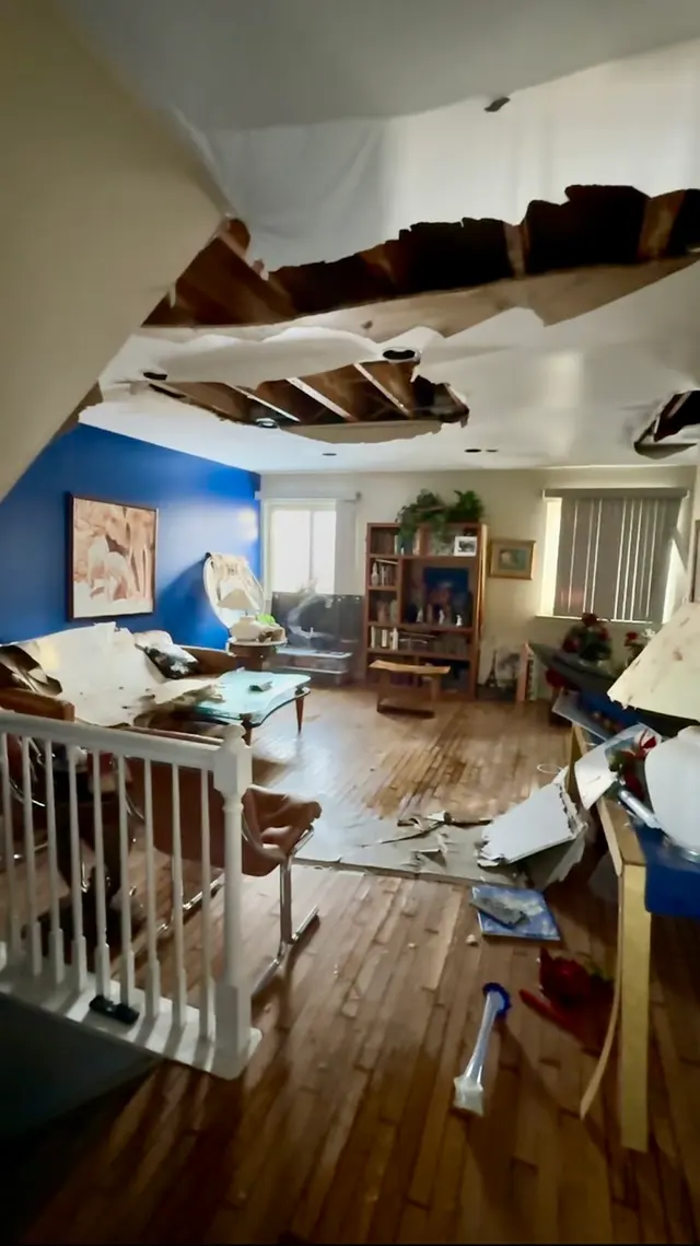 Mold Experts Of Michigan — photo from the business 6