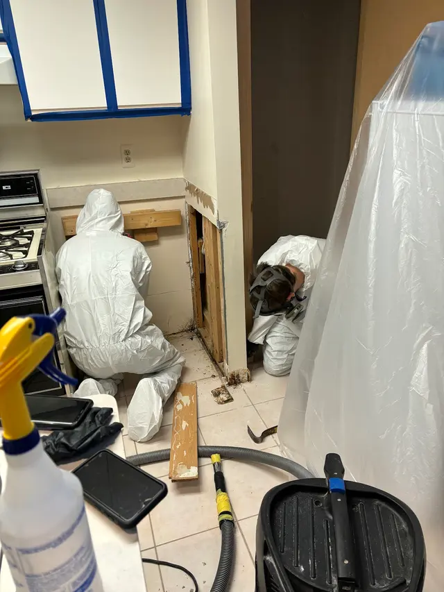 Mold Experts Of Michigan — customer photo 8