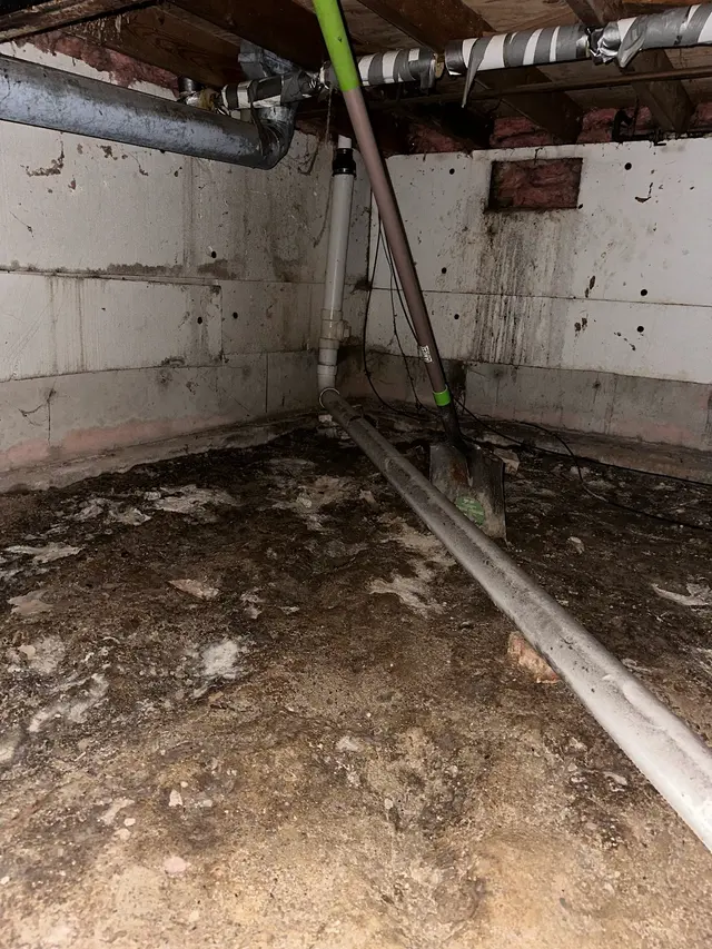 Mold Experts Of Michigan — photo from the business 10