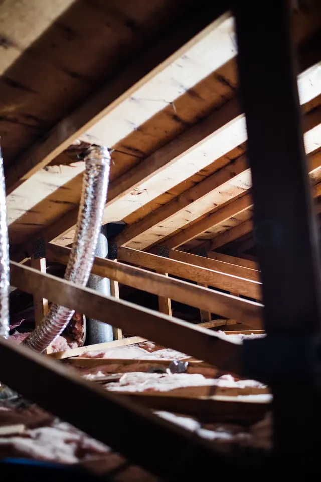 Mold Experts Of Michigan — photo from the business 11