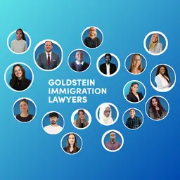 Goldstein Immigration Lawyers — photo from the business 1