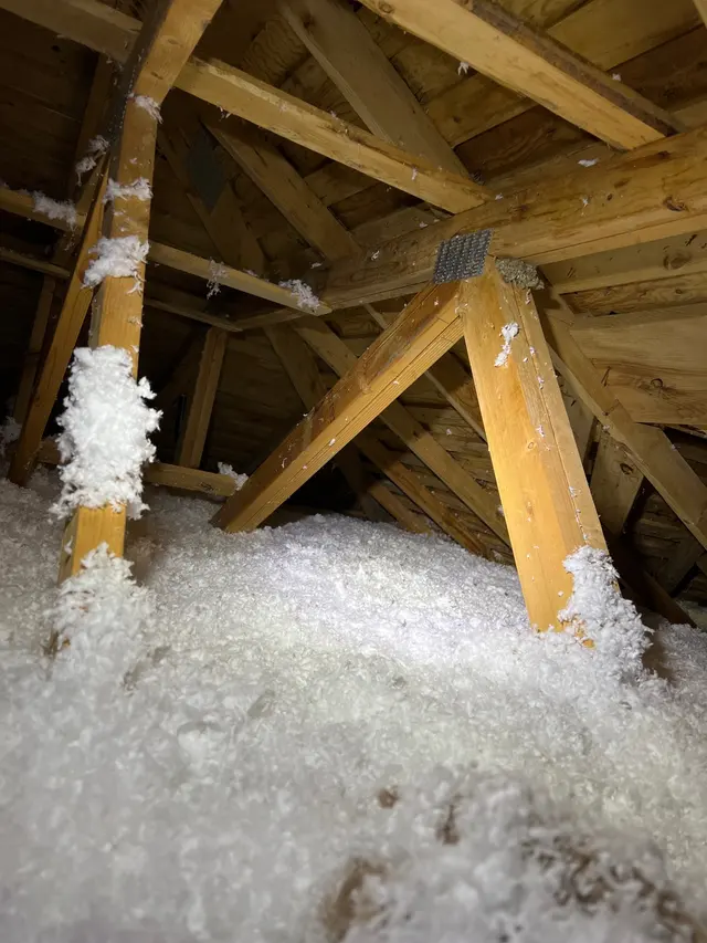 Oaktree Home Inspections & Sewer Scopes — photo from the business 1