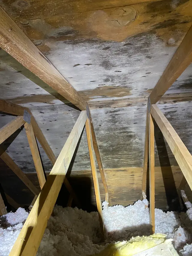 S4 Inspections — photo from the business 9