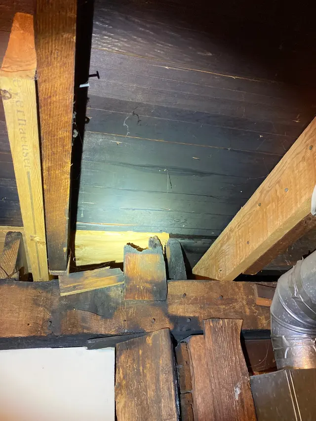 S4 Inspections — photo from the business 11