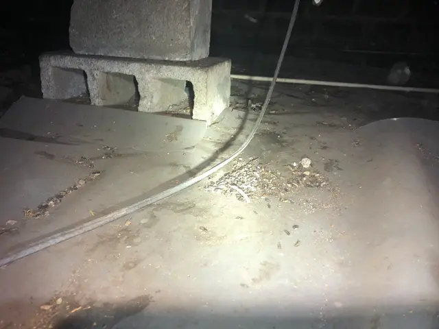 S4 Inspections — photo from the business 6
