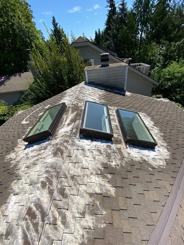 S4 Inspections — photo from the business 1