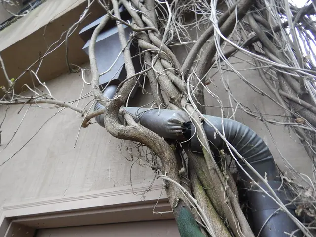 WIN Home Inspection — photo from the business 8