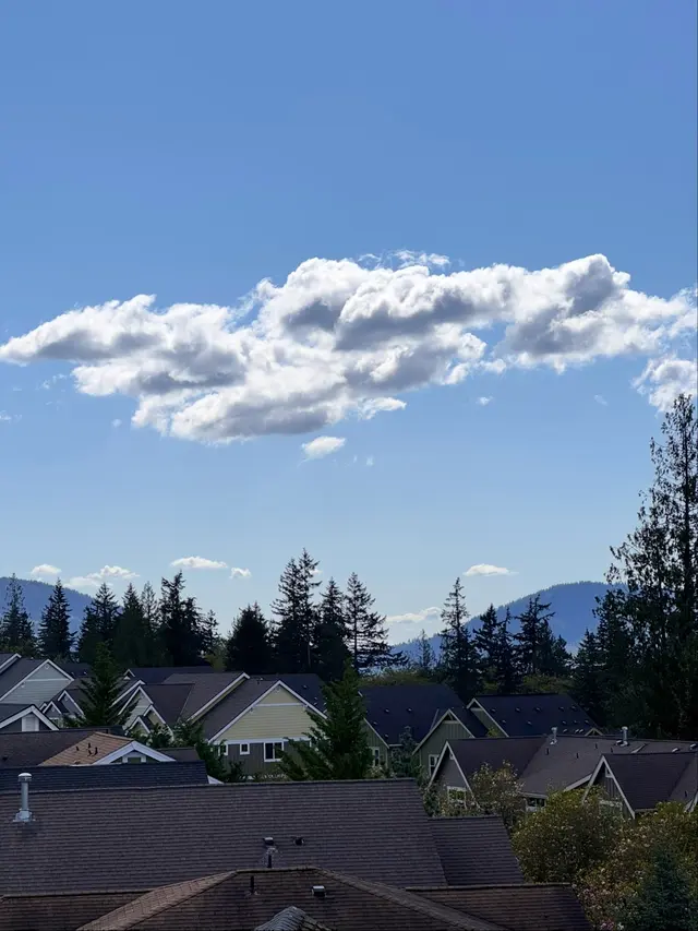 Zoom Home Inspections — photo from the business 12