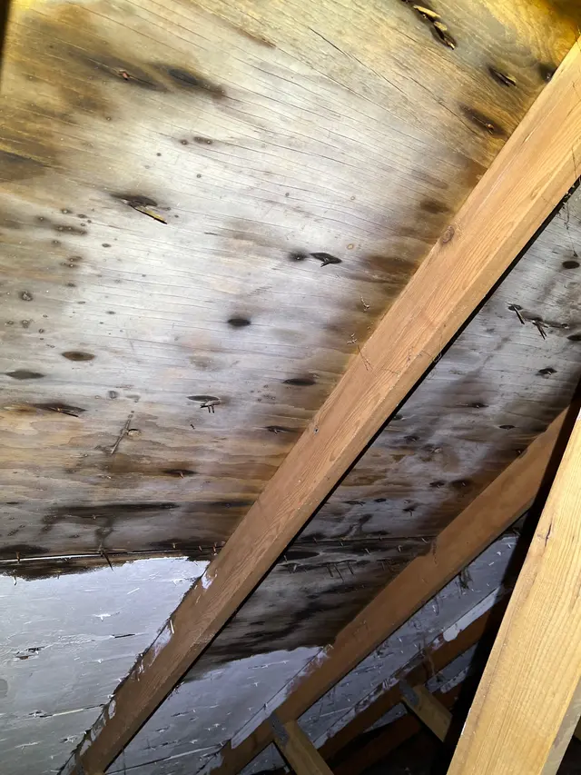 Zoom Home Inspections — photo from the business 10
