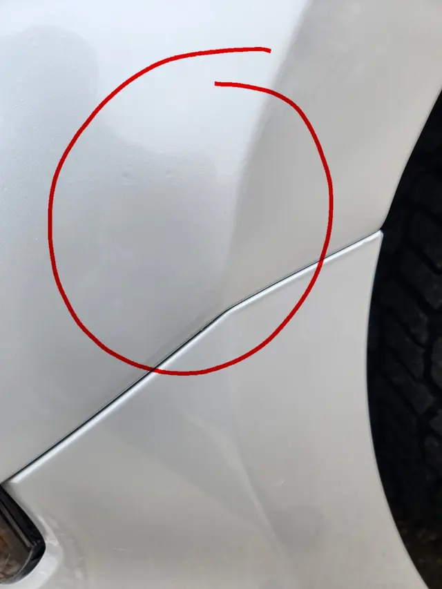 Allegheny County Customs — customer photo 11