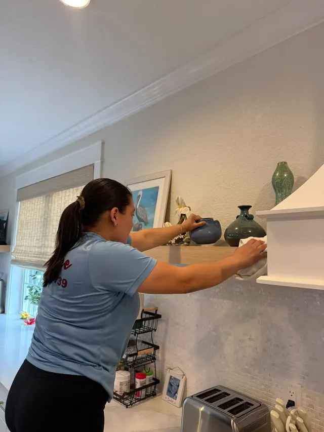Manatee Ladies Cleaning — photo from the business 3