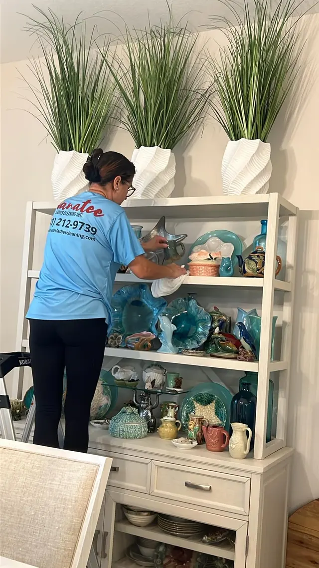 Manatee Ladies Cleaning — photo from the business 7