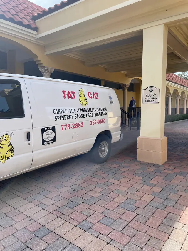 Fat Cat Carpet- Tile and Upholstery Cleaning — photo from the business 4